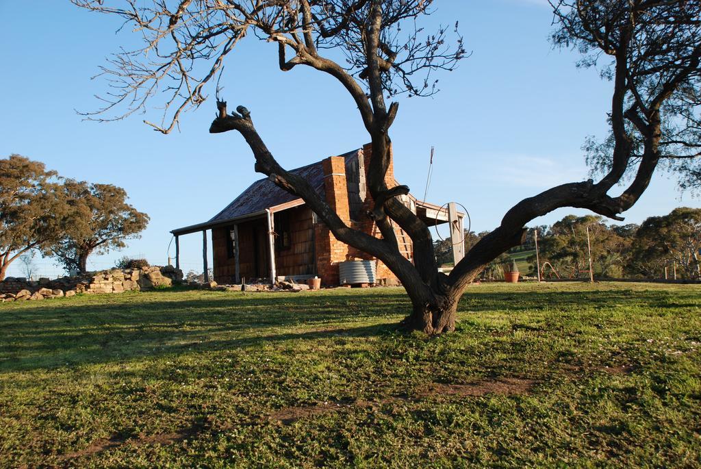 Farm stay Mancuso Country Retreat